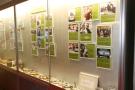 components/com_mambospgm/spgm/gal/Cars_Museum/Porsche_Museum_Pfeifhofer/Small/_thb_PorscheAutomuseumPfeifhofer2008_005.jpg