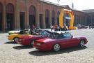 components/com_mambospgm/spgm/gal/Classic_Cars_Events/2008/Alfa_Romeo_Duetto_meeting/Small/_thb_Duettomeeting2008_002.jpg