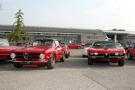 components/com_mambospgm/spgm/gal/Classic_Cars_Events/2010/In_100_a_Cento/Small/_thb_009_In100a100_AlfaRomeoMontreal.jpg