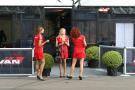 components/com_mambospgm/spgm/gal/Motorsport/2008/WTCC_Imola/_thb_WTCCImola2008_008.jpg