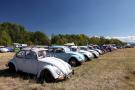 components/com_mambospgm/spgm/gal/Motorsport/2014/Hills_Race_2014/_thb_002_HillsRace2014_VWBeetle.jpg