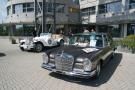 components/com_mambospgm/spgm/gal/Specials/2008/Small_Limousine_Expo/_thb_Limousine2008_009.jpg